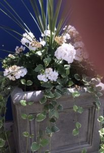 Planter