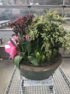 Spring planter