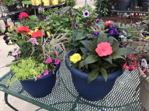 Larson’s Garden Center Designer Planters
