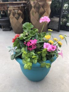 Larson’s Garden Center Designer Planters
