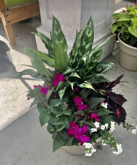 Flowers planted in a larger container