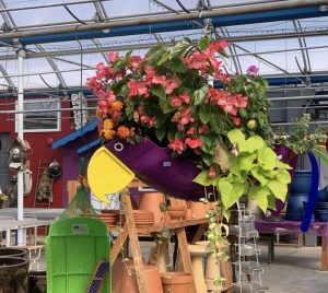 Bird shaded container filled with plants hanging