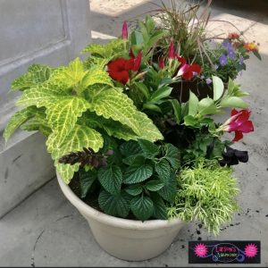 Planter