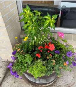 Designer planter