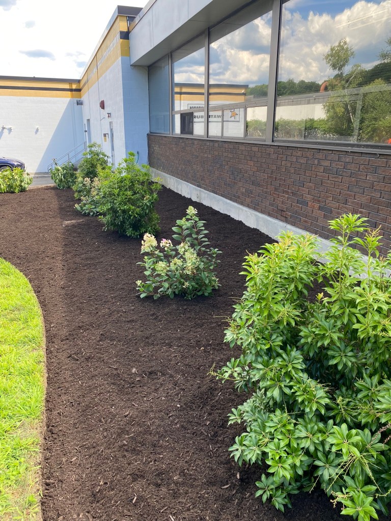 Business property | Larson’s Garden Center and Landscaping A landscaped area alongside a commercial building featuring green shrubs and freshly laid mulch.