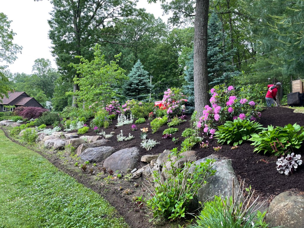 Isolated area is given life | Larson’s Garden Center and Landscaping Landscape