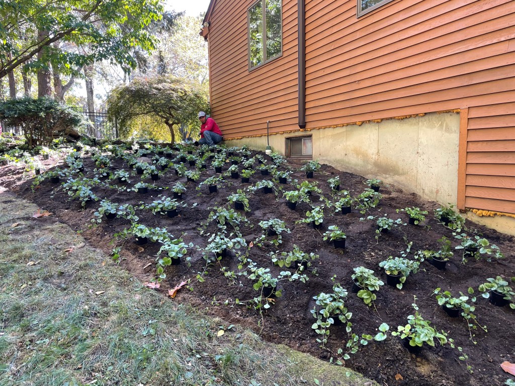 Larson’s Garden Center and Landscaping | Larson’s Garden Center and Landscaping Landscape Project
