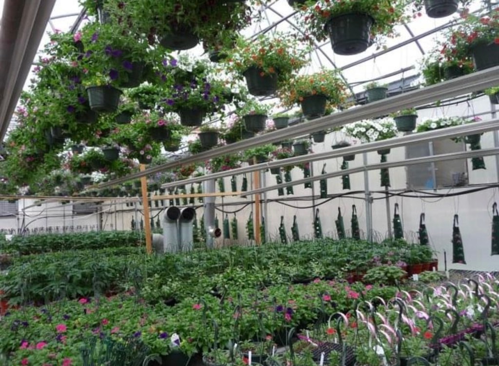 Grower’s Greenhouse inside