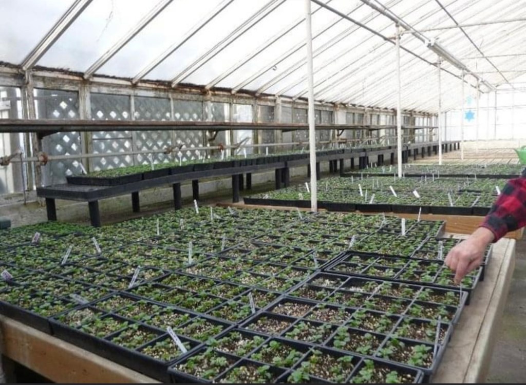 Grower’s Greenhouse inside