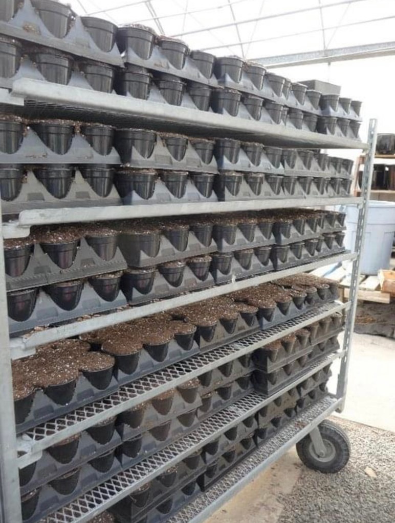 Grower’s Greenhouse inside