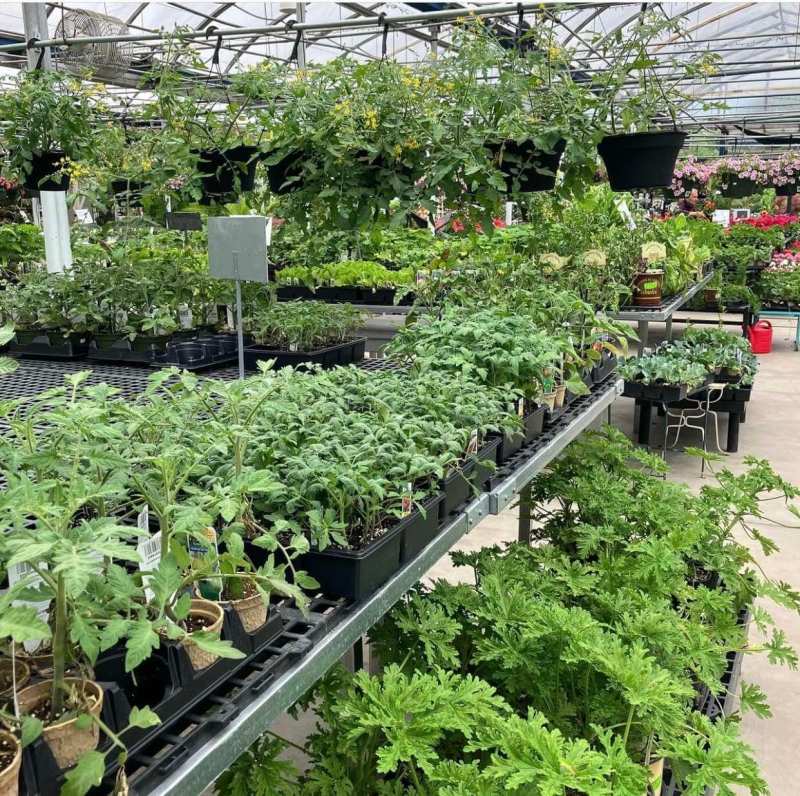 Veggies in sleeves and pots