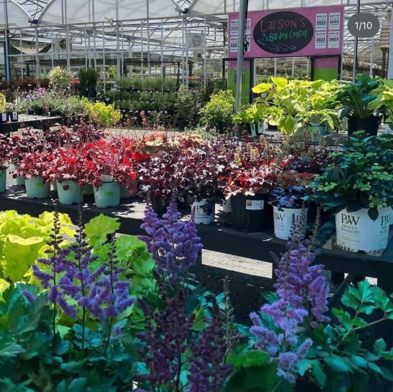 Larson’s Garden Center and Landscaping | Larson’s Garden Center and Landscaping Outside garden center