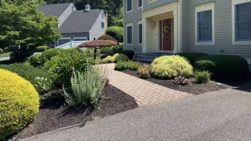 Larson’s Garden Center and Landscaping 2023 | Larson’s Garden Center and Landscaping 2024