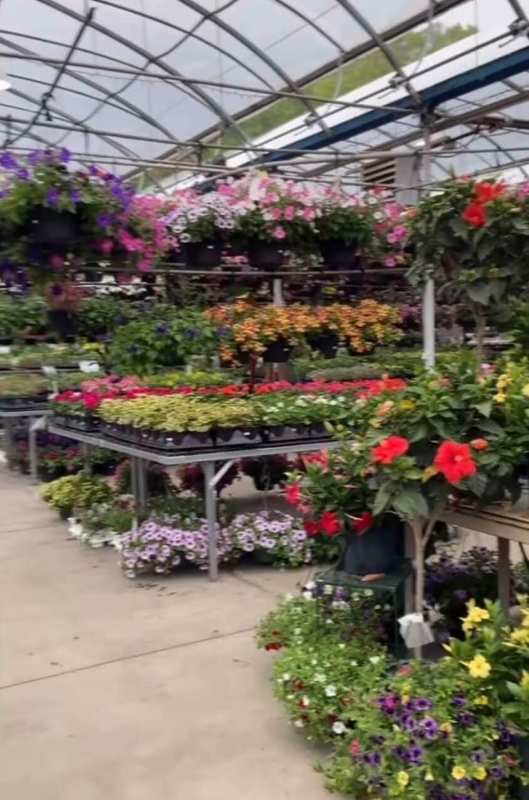 Larson’s Garden Center and Landscaping | Larson’s Garden Center and Landscaping Inside garden Center