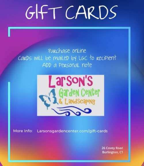 Gift card advertise,ent