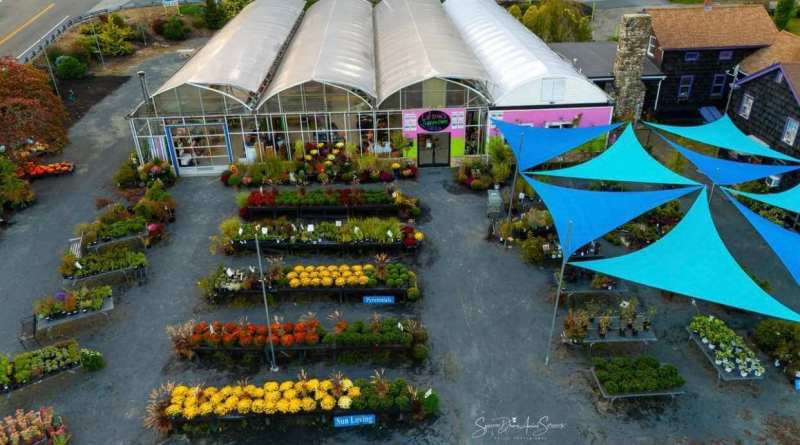 Sparrow Drone Aerial Services | Larson’s Garden Center and Landscaping Aerial photo