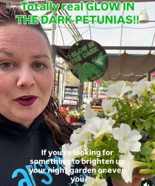 Larson’s Garden Center and Landscaping | Larson’s Garden Center and Landscaping Glow on the dark petunias and Kaitlyn’s face