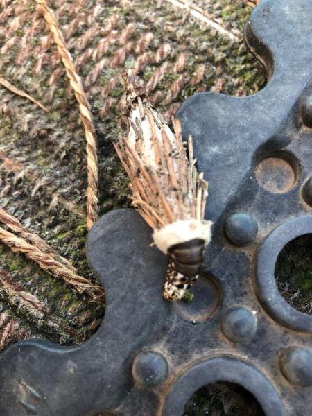 Larson’s Garden Center and Landscaping | Larson’s Garden Center and Landscaping It appears to be a bagworm caterpillar